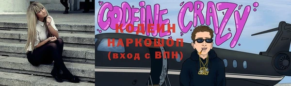 стаф Новозыбков
