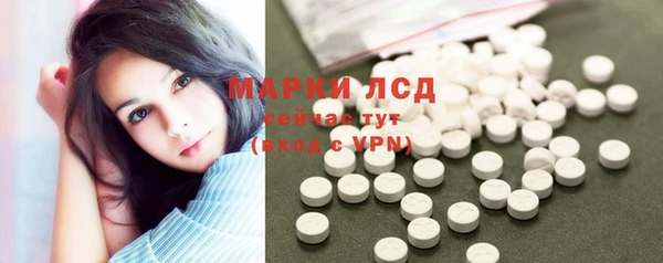 стаф Новозыбков