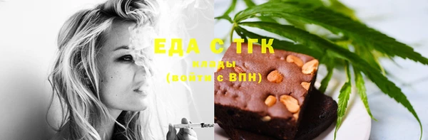 стаф Новозыбков