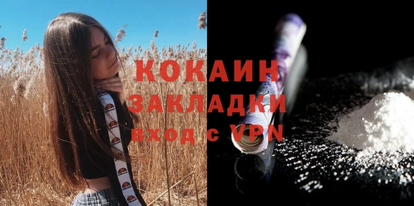 бошки Новодвинск
