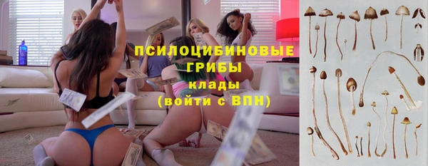 стаф Новозыбков