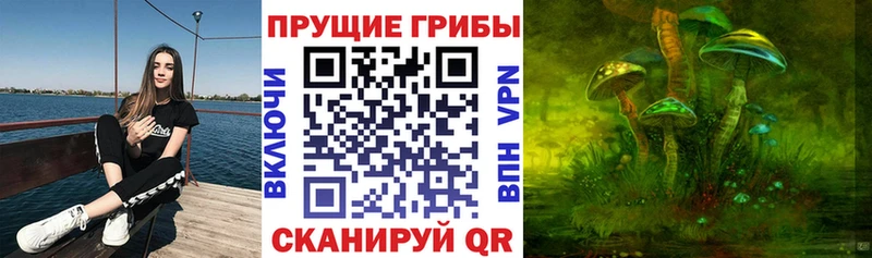 Псилоцибиновые грибы Magic Shrooms  blacksprut ССЫЛКА  Олонец 